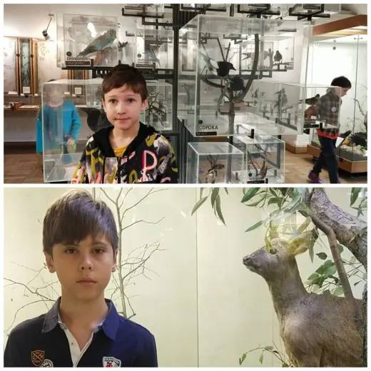 Экскурсия в краеведческий музей
