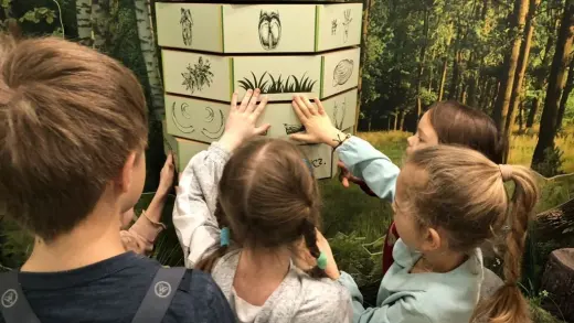 Что такое семейное обучение