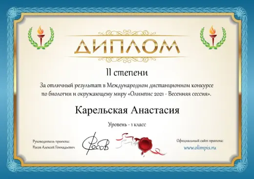 Диплом Карельской Анастасии — Олимпис 2021