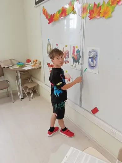 окружающий мир