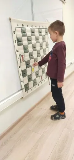 Шахматы