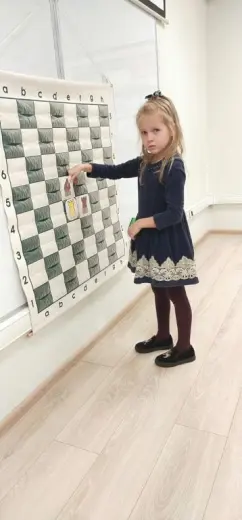 Шахматы