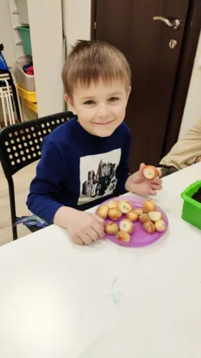Огород на подоконнике