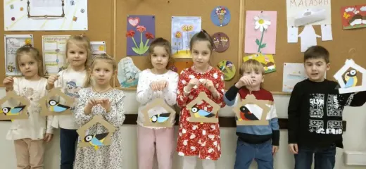 Проект Птицы
