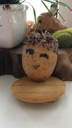 Potato man