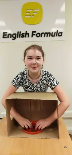 Поиски совы Букли