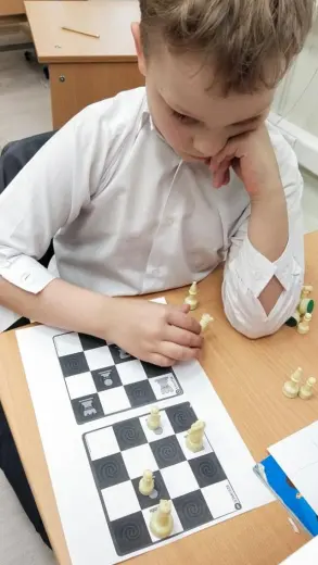 Шахматы