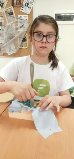 Кинусайга