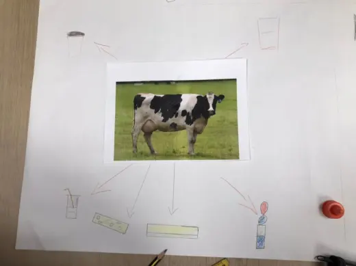 Проект Our Food в группе Super Minds Starter