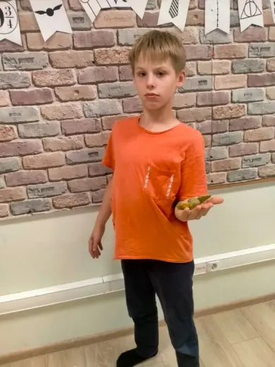 Поделки из мира Гарри Поттера