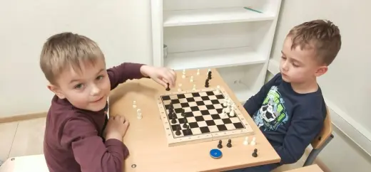 Шахматы