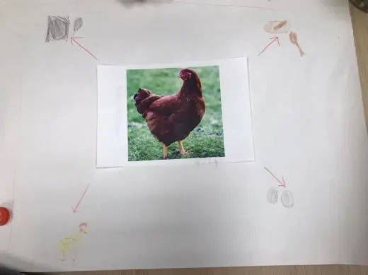 Проект Our Food в группе Super Minds Starter