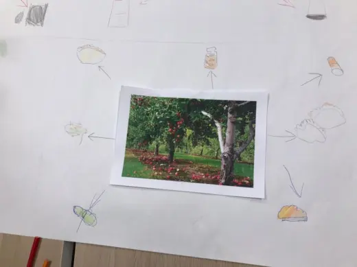 Проект Our Food в группе Super Minds Starter