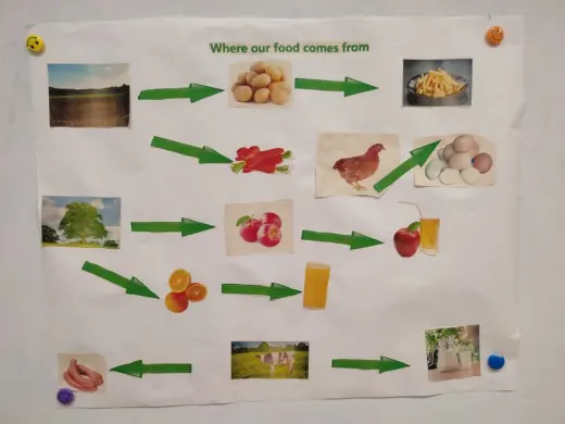 Новая тема «Where our food comes from»
