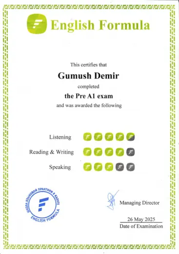 Gumush Demir Pre-A1