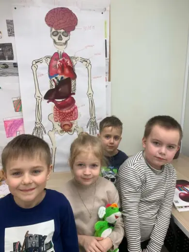Окружающий мир Человек
