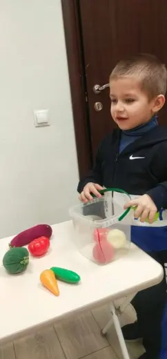 Фрукты
