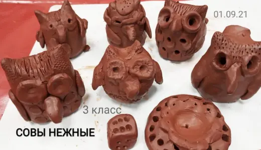 Птица мудрости