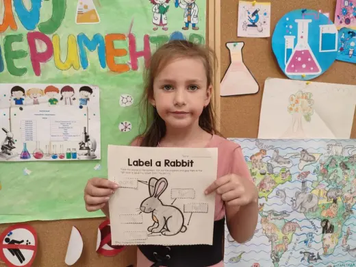 Игра «Label a rabbit»