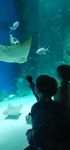 Поездка в Москву