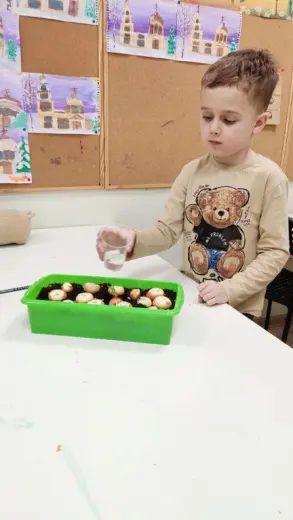 Огород на подоконнике