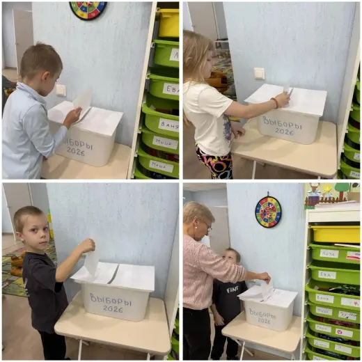 выборы-5