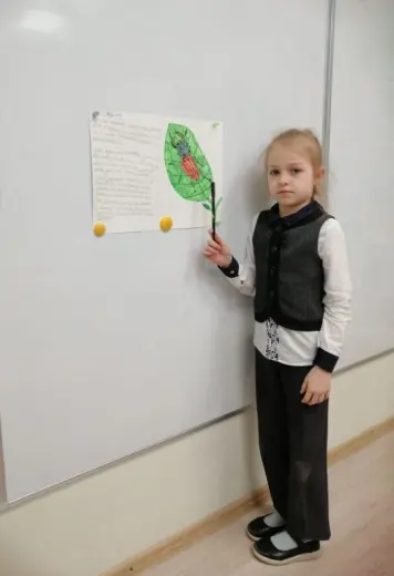 Проект «Флора и Фауна»